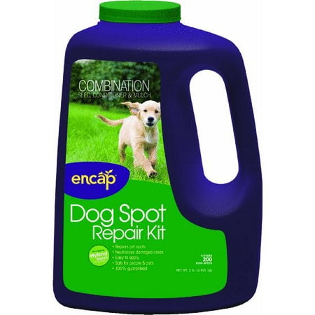 Encap Dog Spot Grass Patch And Repair Kit