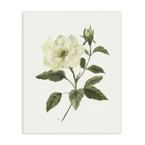 Stupell Industries Ivory Rose Bloom With Green Foliage Canvas Wall Art, design by Nan