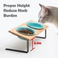 thumbnail image 4 of Sweejar Ceramic Elevated Cat Bowls, Small Dog Bowls, 15° Tilted Raised Pet Bowl with Solid Wooden Stand to Protect Spine, Water and Food Feeder for Cat and Dog, Pack of 2 (Turquoise), 4 of 5