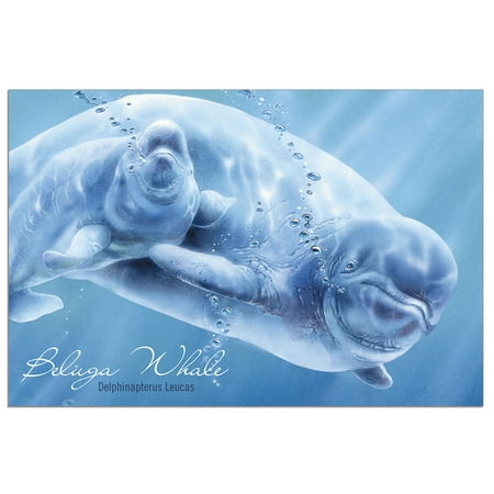 - Tree-Free Greetings Whale Beluga Classic ECOnotes Blank Note Cards-FS66922
