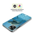 thumbnail image 2 of Head Case Designs Wildlife Close-Up Dolphin Hard Back Case Compatible with Apple iPhone 13 Pro, 2 of 7
