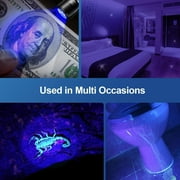 Black Light, 12 LEDs 395nm UV Blacklight Flashlights Detector for Pets Urine and Stains - 1 Pack