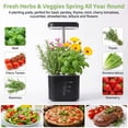 thumbnail image 5 of 4 Pod 10W Full Spectrum LED Hydroponics Growing System, Auto Timer Smart Indoor Herb Garden 1L Water Tank for Home Kitchen Year-round Planting, 5 of 6