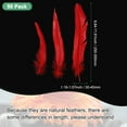 thumbnail image 3 of Uxcell Lot de 50 Plumes pour Bricolage, Plumes Moelleuses Naturelles Rouges de 9,84 à 11,81 Po pour Décorations de Mariage Plumes, 3 of 6