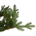 thumbnail image 5 of Northlight Real Touch™️ Full Northern Pine Artificial Christmas Tree - 6.5' - Unlit, 5 of 8