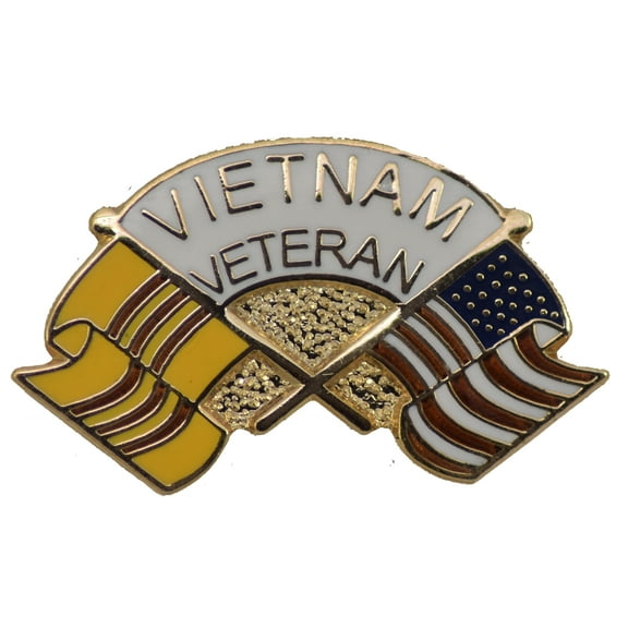 VIETNAM VETERAN HAT PIN