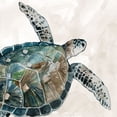 thumbnail image 2 of Robinson, Carol 26x26 White Modern Wood Framed Museum Art Print Titled - Neutral Sea Turtle I, 2 of 4