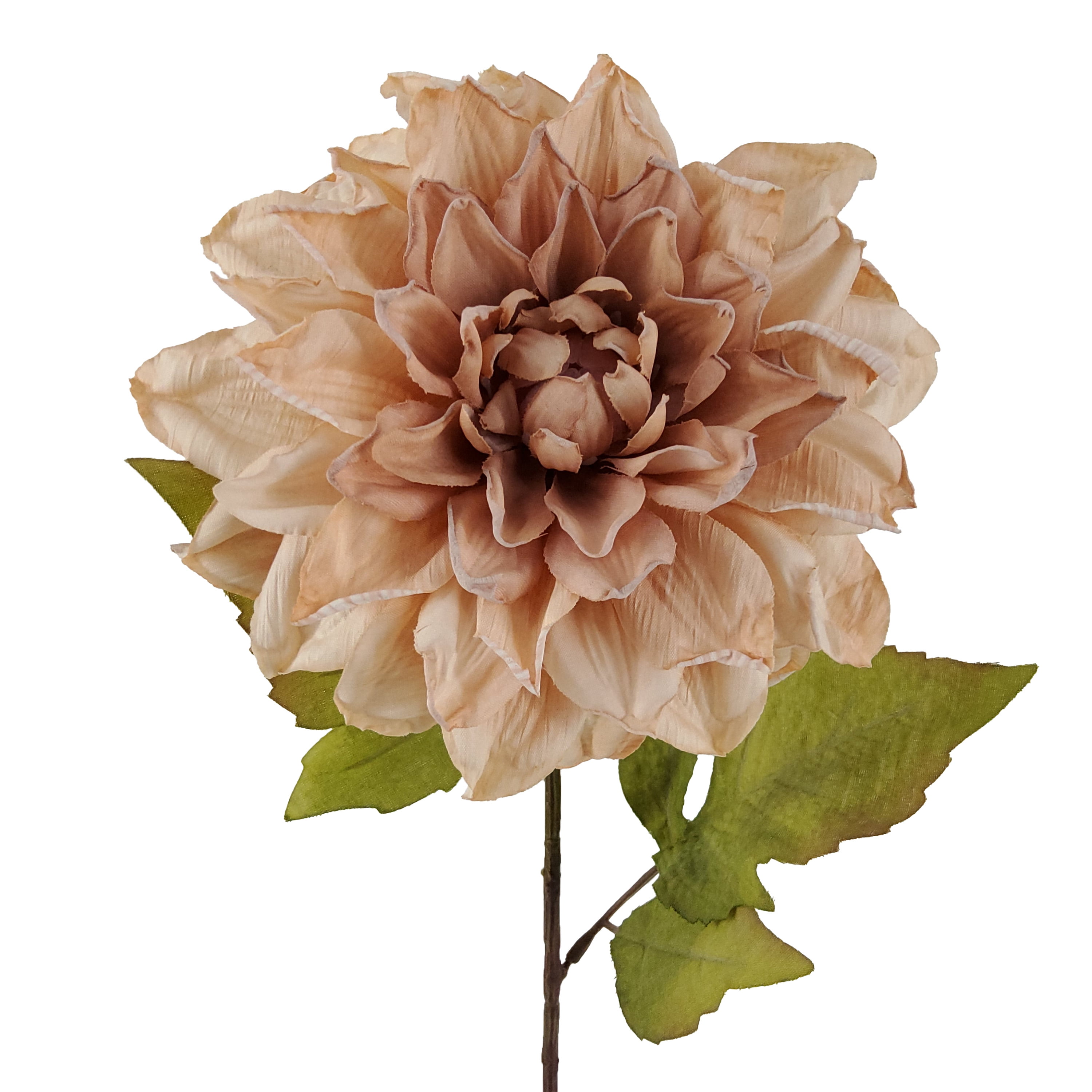 Mainstays Indoor Artificial Flower Stem, Dried Look Dahlia, Cream Color, Assembled Height 24.75"
