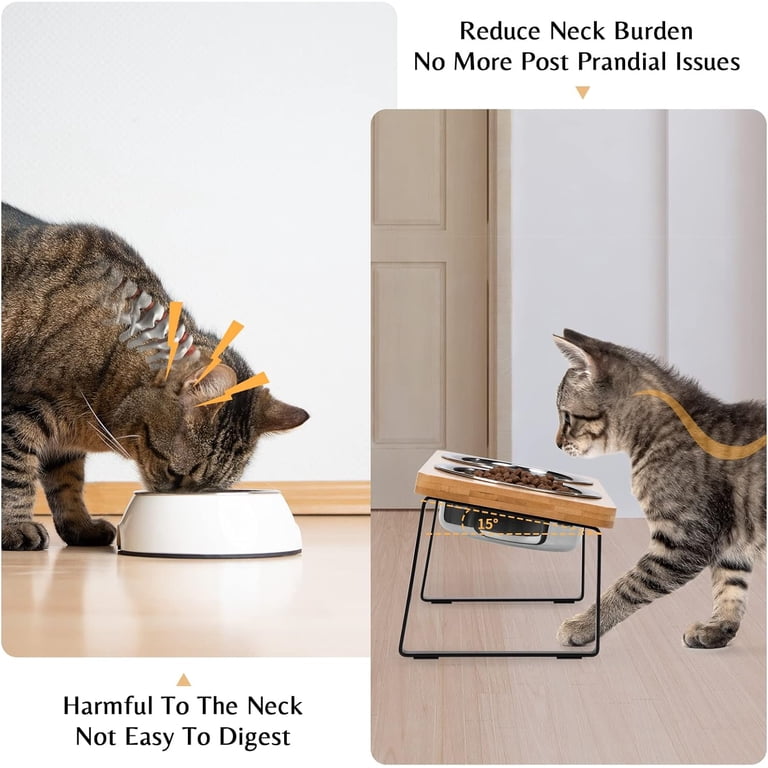 BEVTEE Elevated Tilted Cat Bowl Set with Iron Wood Stand, 15° photo 3