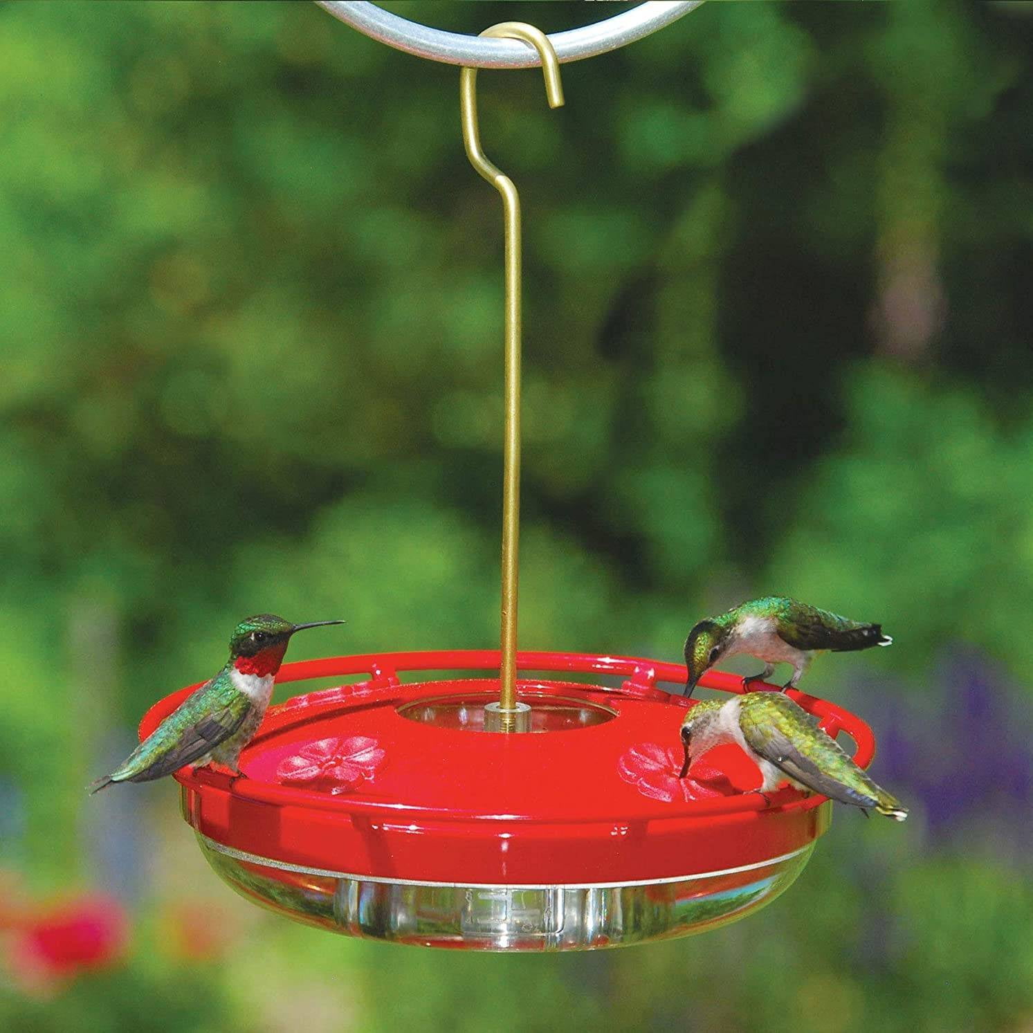 iMucci Hanging Hummingbird Feeders for Outdoors Applies to All Birds, Leak-Proof Hummer Bird Feeder Outside, Easy to Clean and Fill, 16 oz, Red