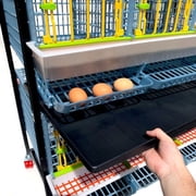قفص دجاج وقت الفقس - طبقة واحدة H: 15 ( قابل للغسل ، متين ، ABS بلاستيك ) | Cimuka