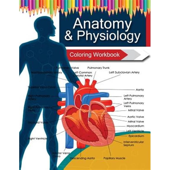 Anatomy & Physiology Coloring Workbook Books