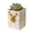 Gold, variant on Giaone Cartoon Deer Planter Pots Lovely Succulents Flowers Pots Garden Cachepot For Living Room