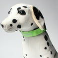 thumbnail image 5 of Pet Supplies LED Dog Collar USB Rechargeable, Luminous Soft Nylon Webbing Suitable For Small And Medium-Sized Dogs, 5 of 5