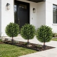 thumbnail image 5 of Cadancy Artificial Cedar Tree Topiary Ball Planter Fake Outdoor Bush Potted Greenery Faux Shrub Uv Resistant Front Door Porch Plants Home Garden Yard Patio Farmhouse Decor, 5 of 6