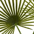 thumbnail image 2 of Nearly Natural Fan Palm Artificial Arrangement in Glass Vase, 2 of 5
