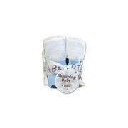 Trend Lab Bouquet 4 Pack Bib - Max