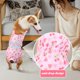 thumbnail image 2 of Pantalones menstruales para perras con tirantes Pañales menstruales para mascotas Braguitas sanitarias reutilizables para perros Ropa interior para mascotas, 2 of 5