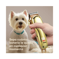 thumbnail image 4 of Kit Rasuradoras Para Perros Y Gatos Máquina De Cortar Pelo Cortadora De Pelo Para Mascotas Belug Dorado, 4 of 5