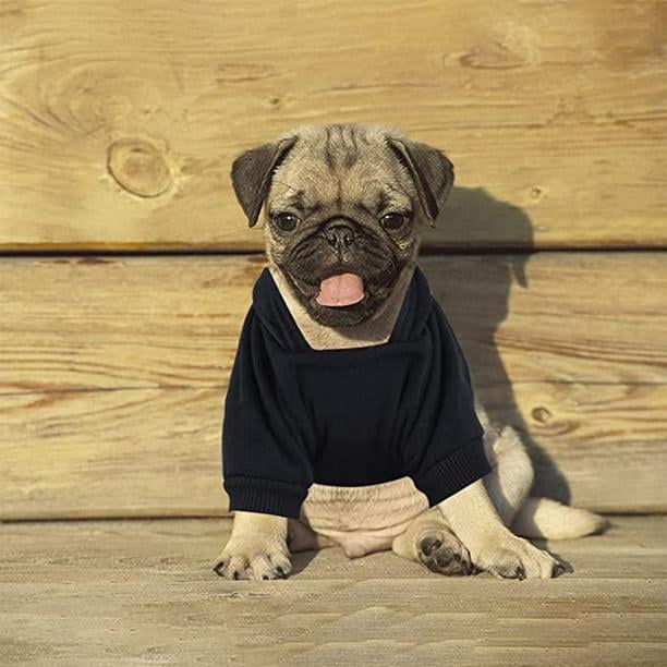 Pug puppy outfits deals