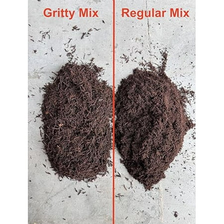 Premium Gritty New Zealand Tree Fern Fiber Growing Medium and Reptile Substrate- Natural, Organic, Long Lasting | for Orchids and Tropicals | Use in Terrariums and Vivariums (1 Gallon)