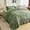 Green -2, variant on Camel Ruffle Comforter Queen, 3 Pieces Vintage Ruffle Fringe Comforter, Farmhouse Rustic Microfiber Down Alternative Bedding Comforter Set (1 Comforter + 2 Pillow Shams)