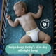 thumbnail image 5 of Pampers Overnight - Pa&ntilde;ales Etapa 6, 42 Piezas. Para beb&eacute;s de 16+ Kg. Pampers NA, 5 of 8