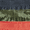 Gray/Camo/Orange, variant on The Children's Place Baby and Toddler Boys Shorts 3-Pack, Sizes 6Months - 5T
