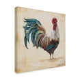 thumbnail image 2 of Trademark Fine Art 'Rooster 4' Canvas Art by Jean Plout, 2 of 3