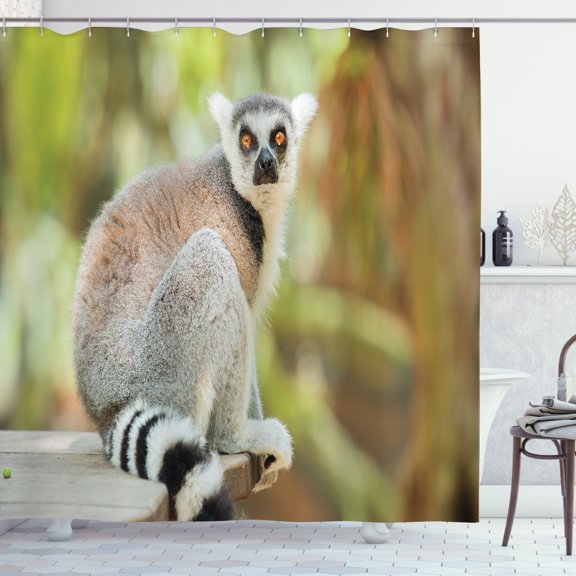 Ambesonne Lemur Shower Curtain, Aperture Photo Mammal Animal, 69"Wx84"L, Multicolor