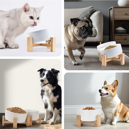 15° Slanted Ceramic Dog and Cat Bowl with Wooden Stand, Tilted Bulldog Food and Water Bowl No Slip Non-Spill for Cats Medium Dogs Big Face Pets 28.7 OZ (3.6 Cups, White)
