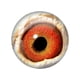 thumbnail image 5 of Cabujón de cristal con forma de ojo de dragón en pares, 12 mm, 16 mm, 18 mm, 20 mm y 25 mm, redondo, para fotografía, con parte trasera plana, 5 of 5