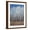 Brown Frame, variant on Art.com Cobalt Birches II Art Print by Tim OToole, White Frame Wall Art, 23" x 29"