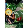 thumbnail image 5 of Pacific Play Tents Jungle Safari Tent and Tunnel Combo, Child, 5 of 12