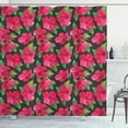 thumbnail image 1 of Ambesonne Hawaii Shower Curtain, Polka Dots Hibiscus, 69"Wx75"L, Magenta Fern Green Black, 1 of 3