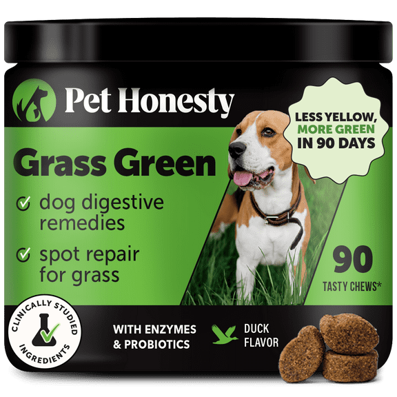 Pet Honesty Grass Green Digestive Support, 90 Count Chews, Duck Flavor