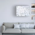 thumbnail image 3 of James Wiens 'Grand Array II' Canvas Art, 3 of 4