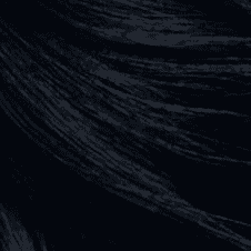 1.1 Midnight Black