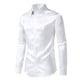 thumbnail image 2 of Blusa y camisa de manga larga con cuello vuelto para hombre, informal, lisa, con botones, de poliéster, 2 of 9
