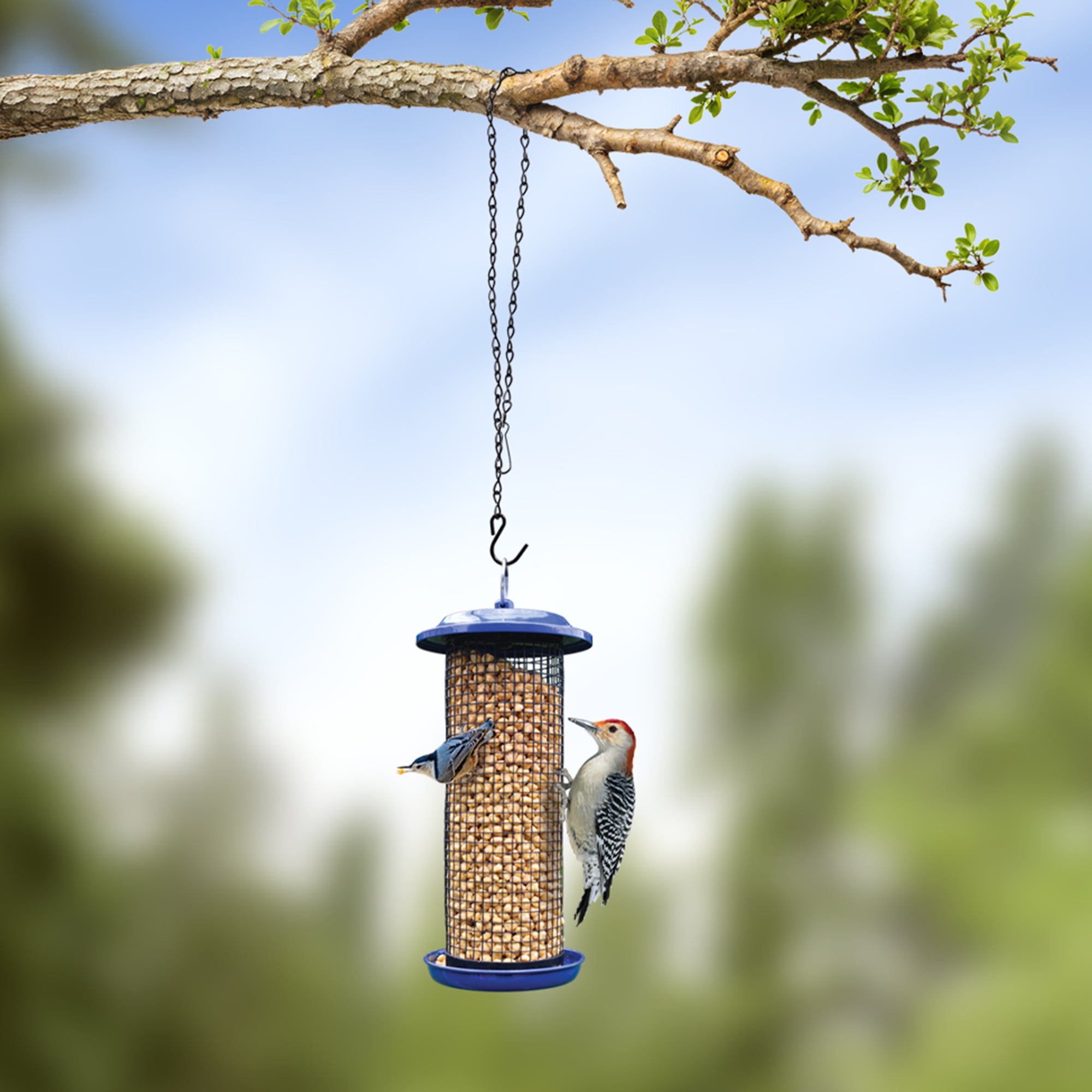 Chaîne décorative en métal Nature's Way de 91 cm (36 pouces) avec crochet pour mangeoires à oiseaux, jardinières et décorations, usage intérieur et extérieur, supporte jusqu'à 7 kg (15 livres), noire