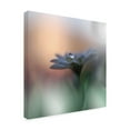 thumbnail image 4 of Juliana Nan 'Eyes Of The Light' Canvas Art, 4 of 4
