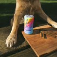 thumbnail image 4 of ZippyPaws Plush Dog Toy Squeakie Can - Le Chien, 4 of 6