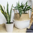 thumbnail image 1 of Plant Basket,Foldable Rattan Straw Basket Flower Pot Hanging Wicker Storage Basket Garden Accessories, 1 of 6