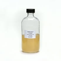 Nutrient Agar, 1.5% Nacl, Prepared Media Bottle, 125 Ml