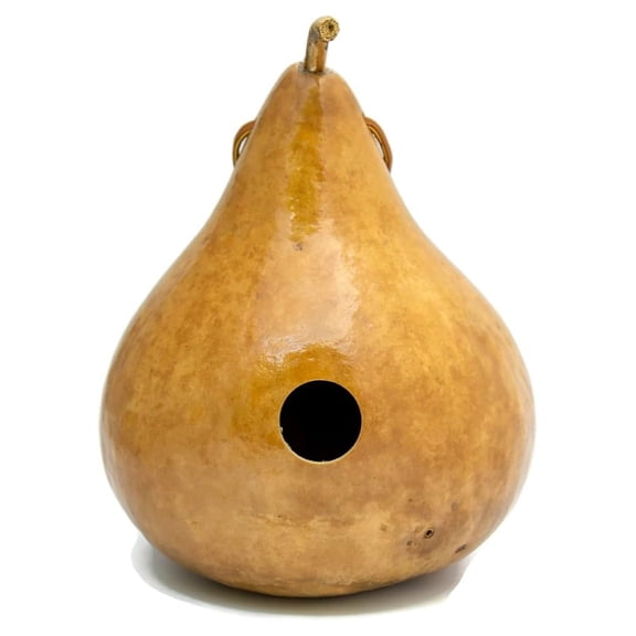 Gourd Birdhouse Natural