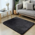 thumbnail image 2 of Buganda Area Rugs for Living Room 2'X3', Soft and Fluffy Shaggy Carpet for Pets, Machine Washable Floor Rugs for Bedroom, Black, 2 of 8