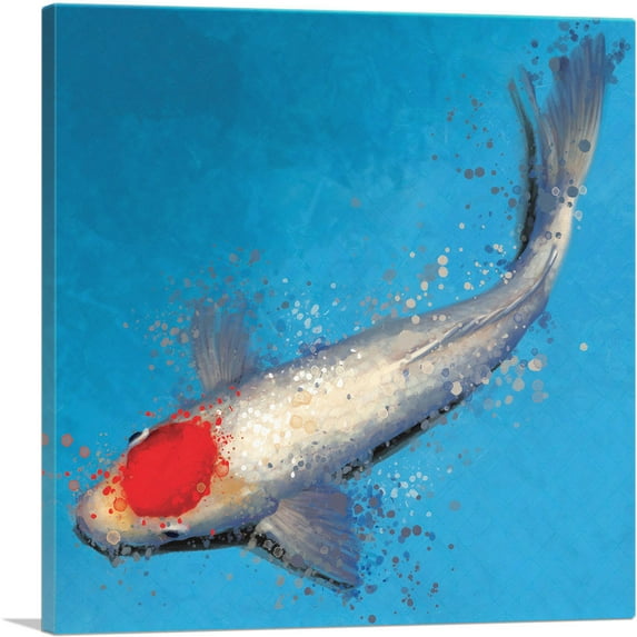 ARTCANVAS Tancho Koi Carp Fish Japan China Asia Canvas Art Print - Size: 12" x 12" (1.50" Deep)