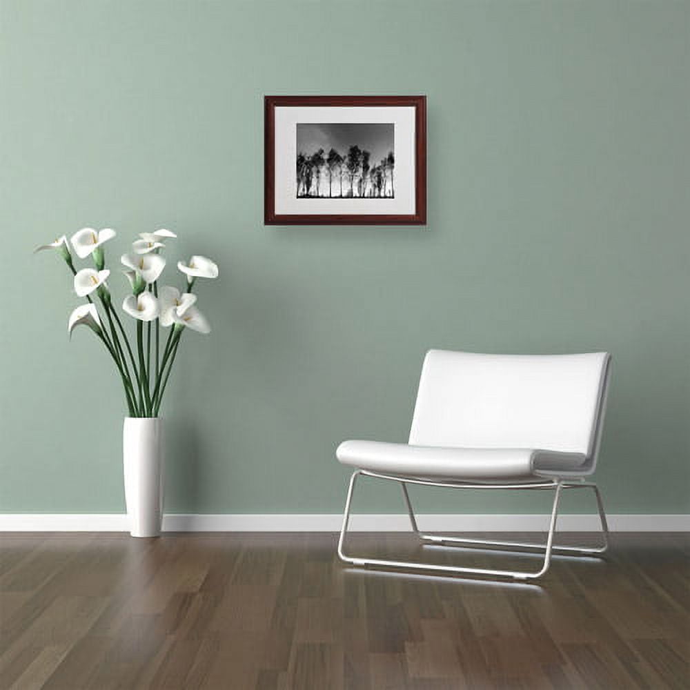 Trademark Fine Art "Xochimilco" Matted Framed Art by Moises Levy, Wood Frame