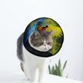 thumbnail image 1 of Parrot Powder Explosion Soft Cat Dog Recovery Collar Adjustable Cat Cone Wound Healing Protective After Surgery for Pet Cones After Surgery, 1 of 7