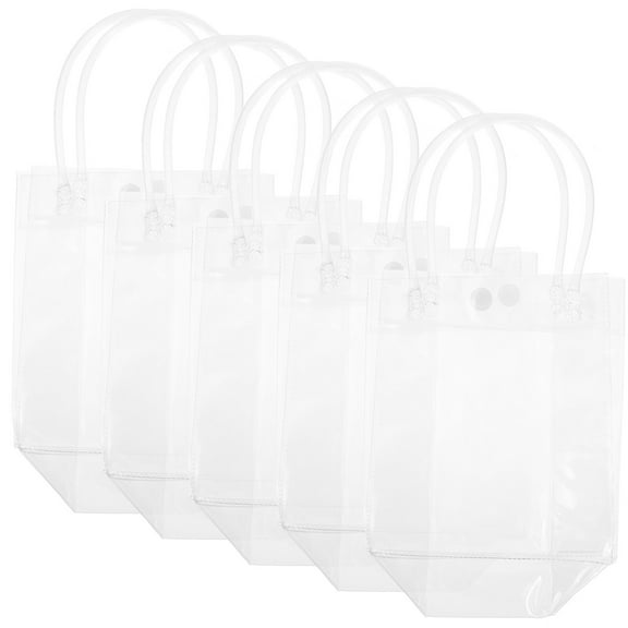 Masteelf 10 Pcs Party Bags Reusable Clear Mini Tote Workmanship Shopping Travel